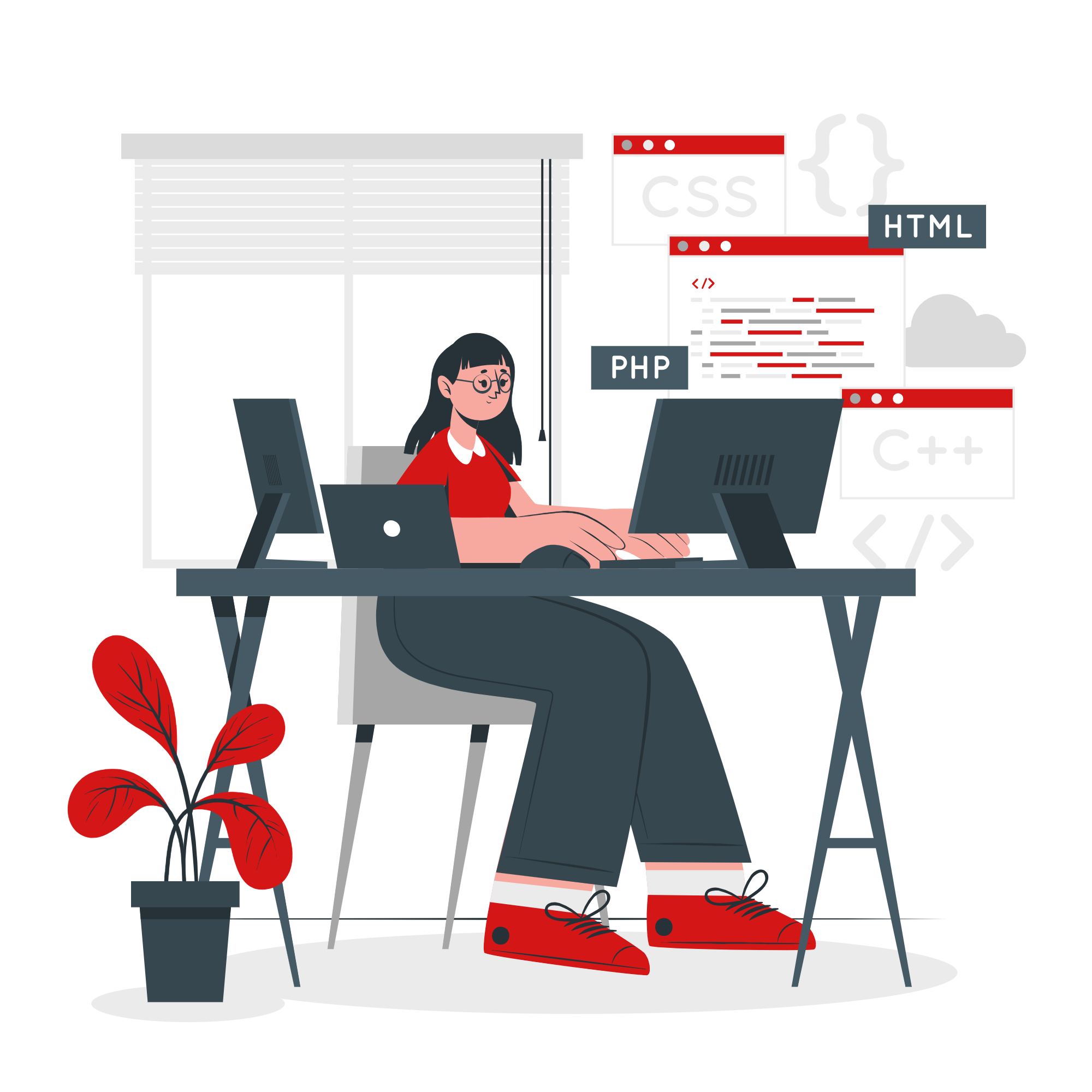 Ilustracion de desarrollo de software
